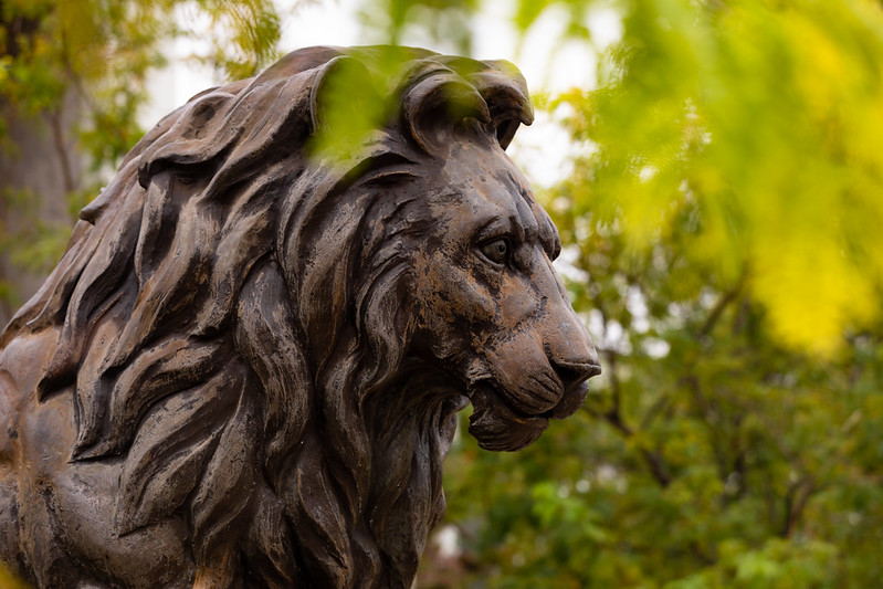 Lion Statue