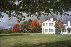 alumni trees