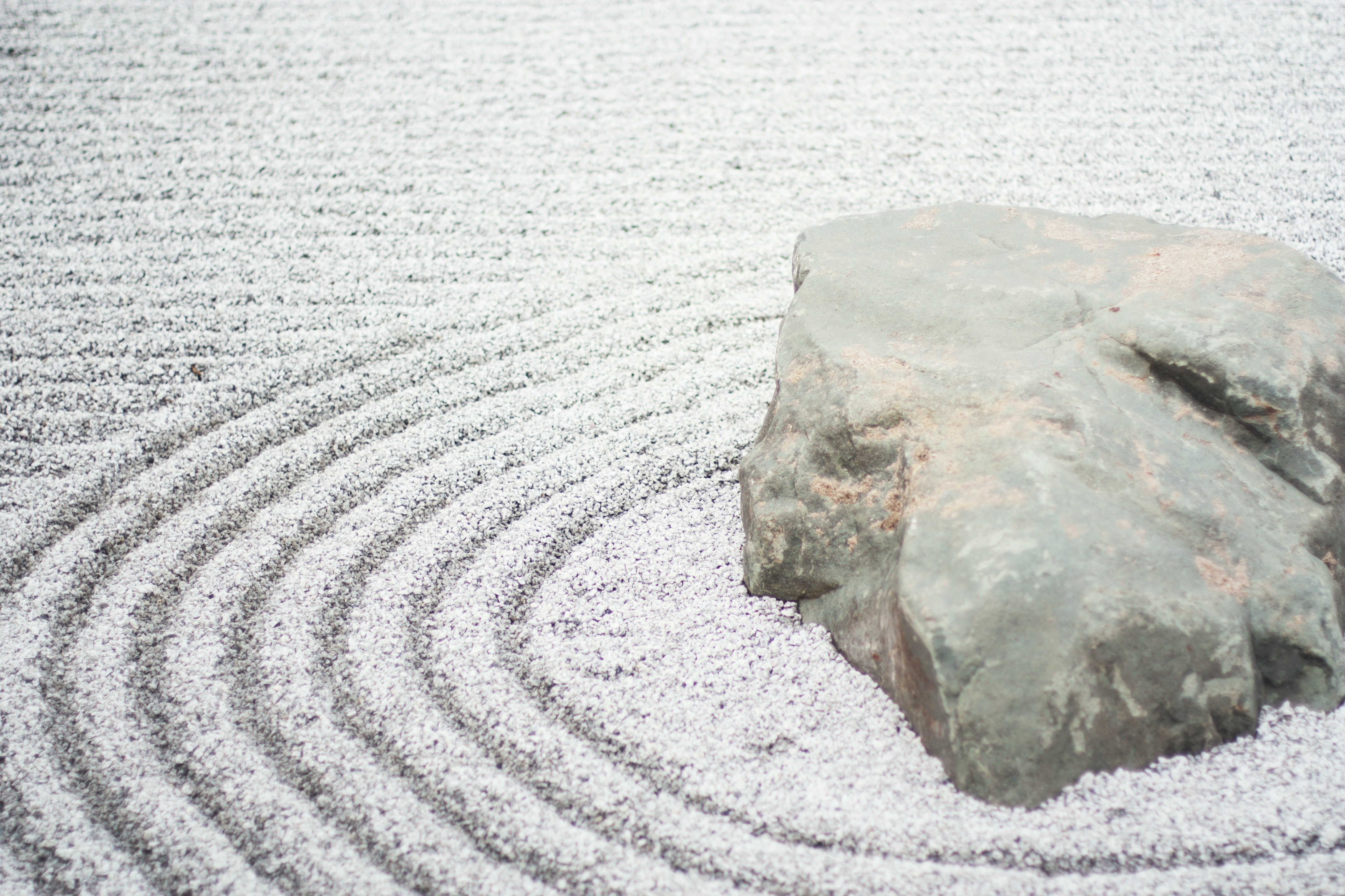 Zen-Garden-Sept.-29.jpg