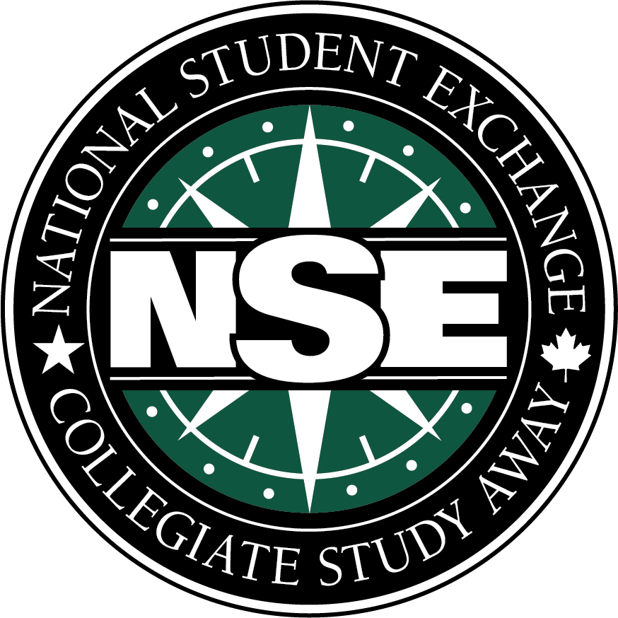 NSE Logo