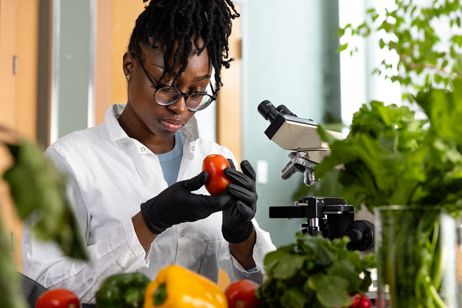 Program Highlight: Food Science and Nutrition