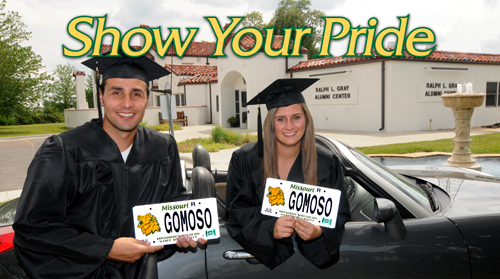 license plate ad 