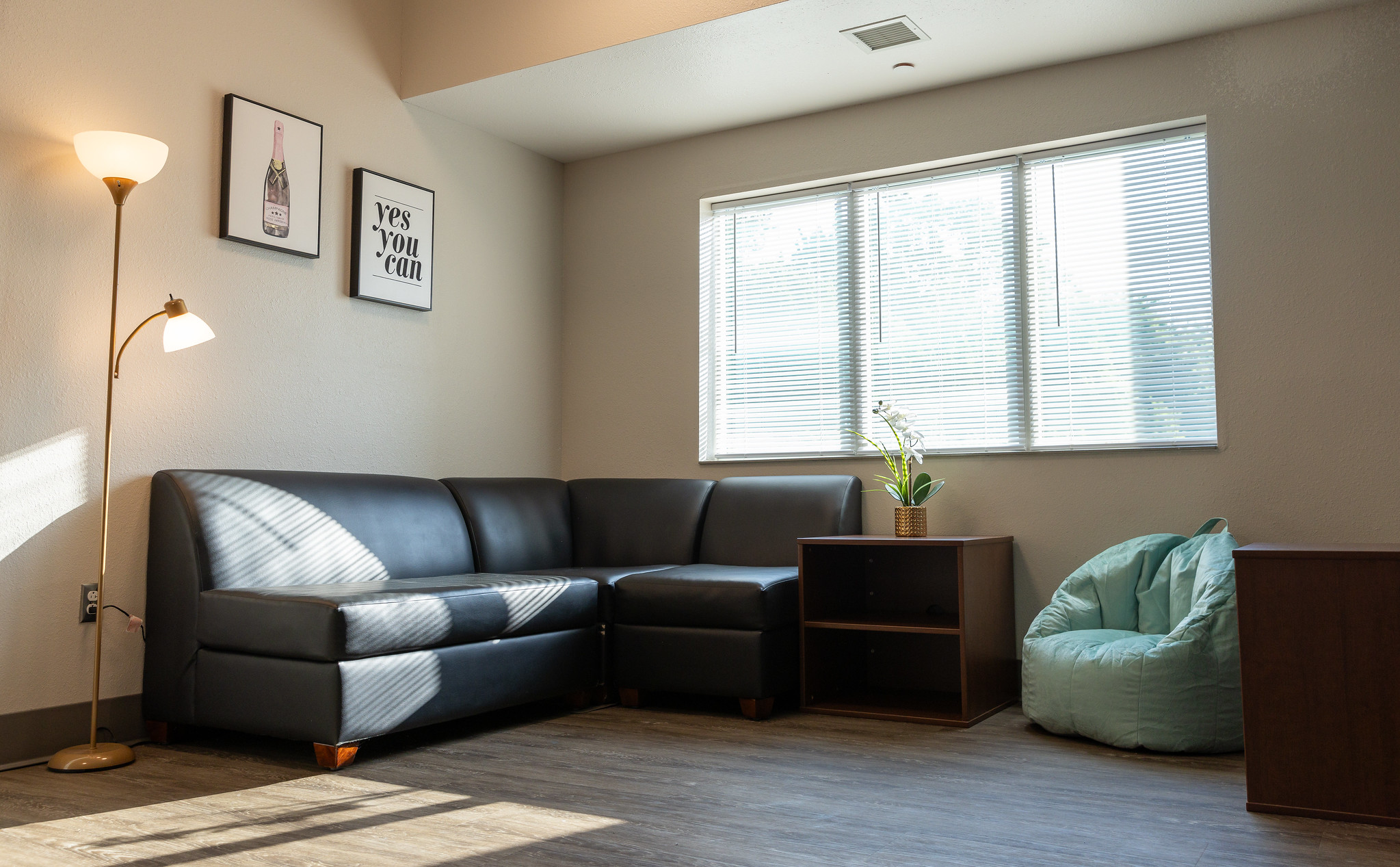 MSSU Lion village living room